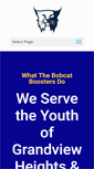 Mobile Screenshot of bobcatboosters.org